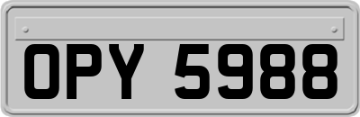 OPY5988