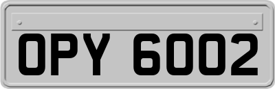OPY6002