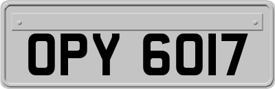OPY6017