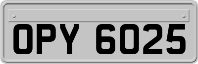 OPY6025