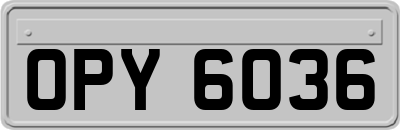 OPY6036