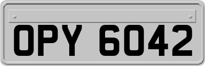 OPY6042
