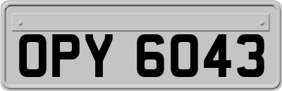 OPY6043