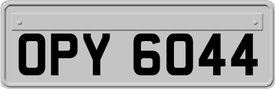 OPY6044