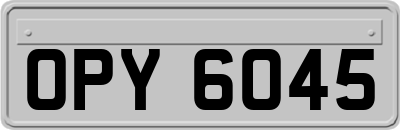 OPY6045
