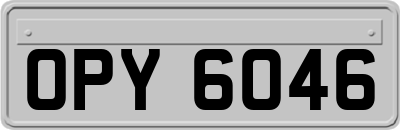 OPY6046