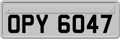 OPY6047