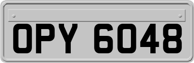 OPY6048