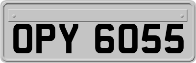 OPY6055