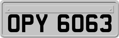 OPY6063