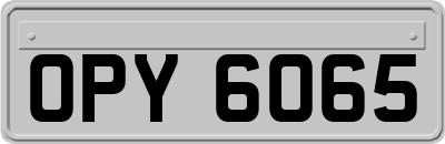 OPY6065