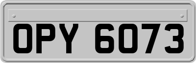 OPY6073
