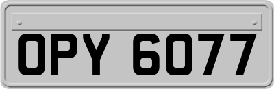 OPY6077