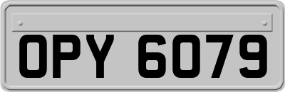OPY6079