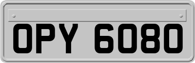 OPY6080