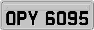 OPY6095