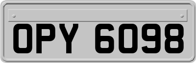 OPY6098
