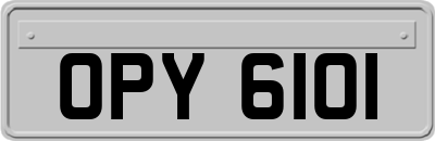 OPY6101