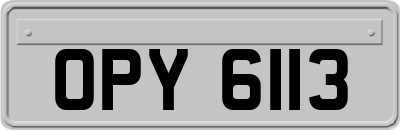 OPY6113