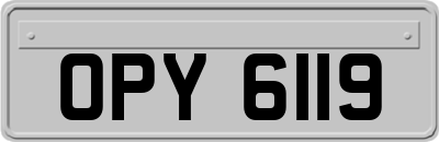 OPY6119