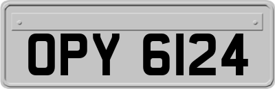 OPY6124