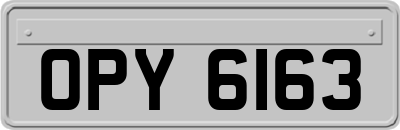OPY6163