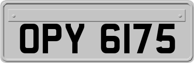 OPY6175