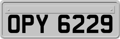 OPY6229