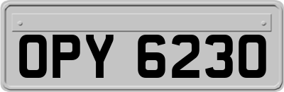 OPY6230