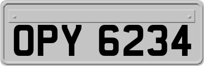 OPY6234