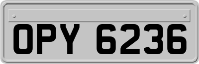 OPY6236