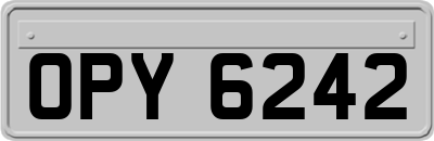 OPY6242