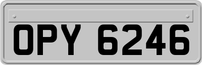 OPY6246