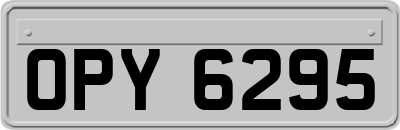 OPY6295