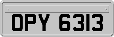 OPY6313