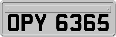 OPY6365