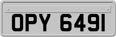 OPY6491