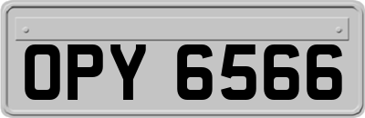 OPY6566