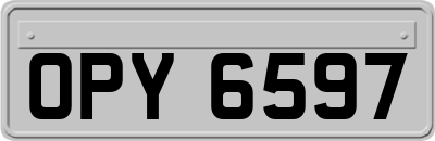 OPY6597