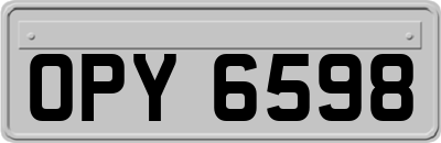 OPY6598