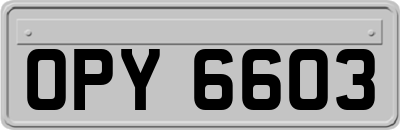 OPY6603