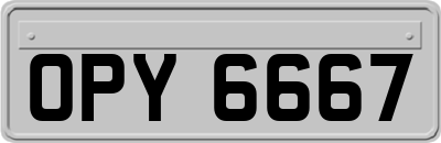 OPY6667
