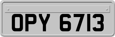 OPY6713