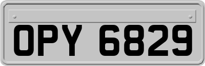 OPY6829