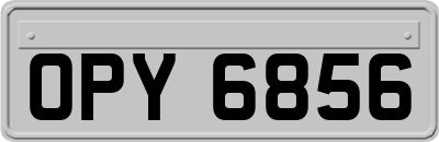 OPY6856