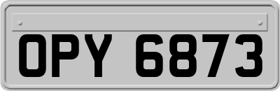 OPY6873