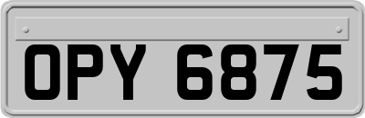 OPY6875
