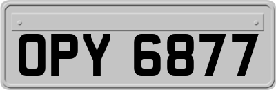 OPY6877