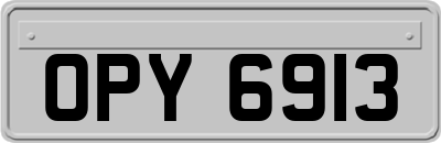 OPY6913