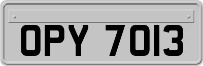OPY7013